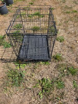 Dog kennel