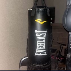 Everlast Punching Bag (used)