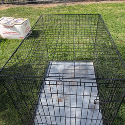 big dog cage