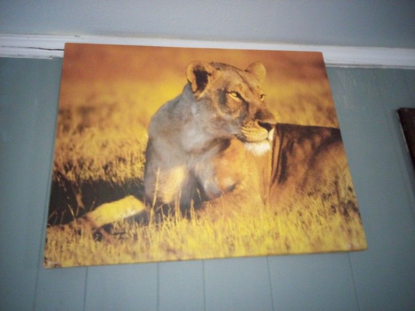 Lioness Painting 