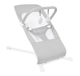 New! Baby Delight (0-6 months) Baby Bouncer (No Box) $25 FIRM (#1434)