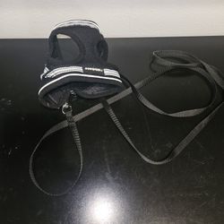 Kitten Harness With Leash