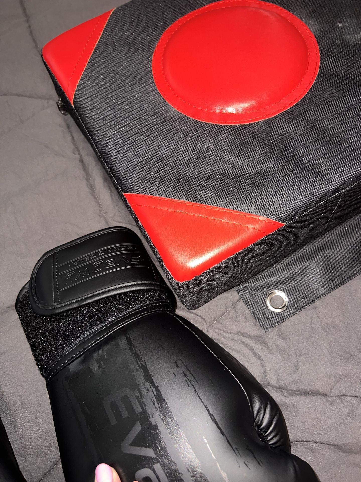 Boxing Gloves + Target Pad Set – Like New!