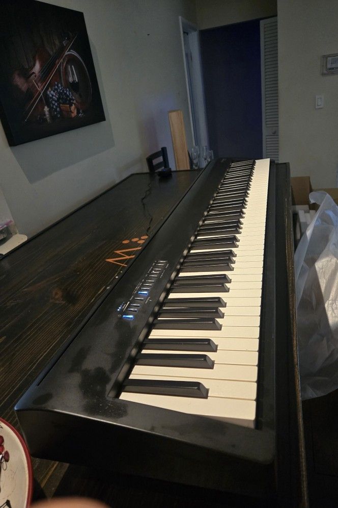 FP-30X Digital Piano