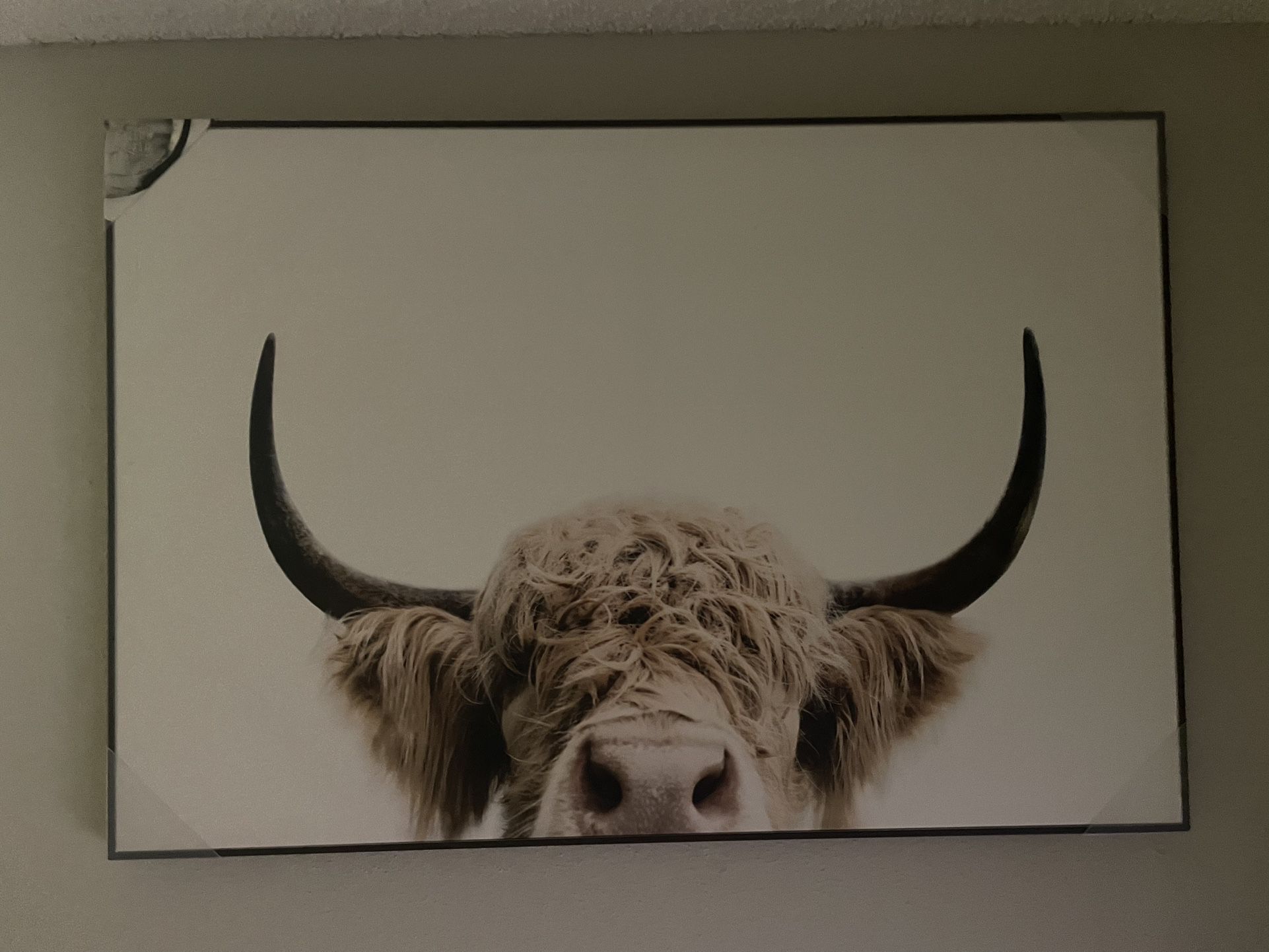 Cow Frame 🖼️ 