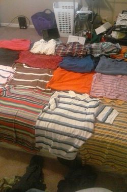 19 polo shirts