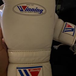 Winning Boxing Gloves