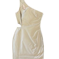 Ark & Co Neutral Tan Asymmetrical Sleeveless Side Cutout Mini Dress Size Small