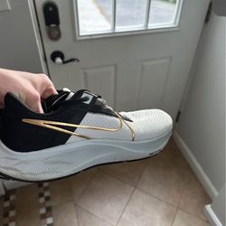 size 12 Nike Pegasus Turbo next nature