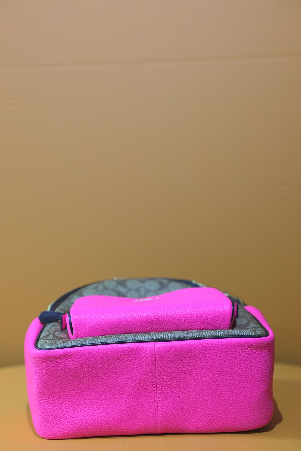 Coach Pink Backpack