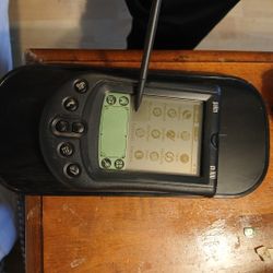 Palm M100