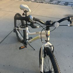 Trek  Pedal Bike 