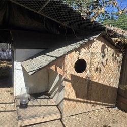 Large Dog House (FREE)