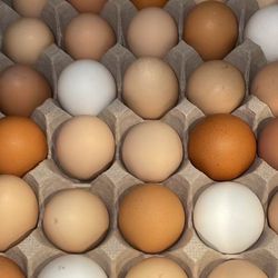 Eggs For Sale 