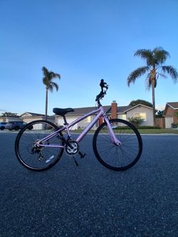 Pink Diamond Back MTB