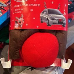 Rudolph Car Costume