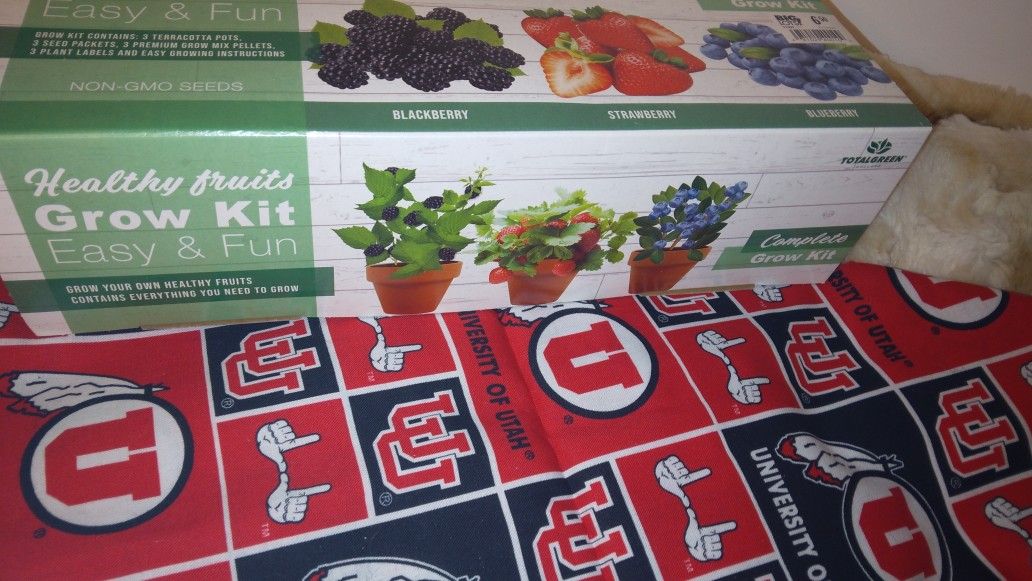 Veggie Grow Kit 