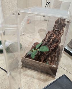 Herp cult reptile tank/enclousure