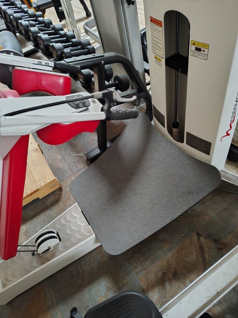 Freemotion Plate Loaded Squat Machine Exercise Fitness Gym Equipment