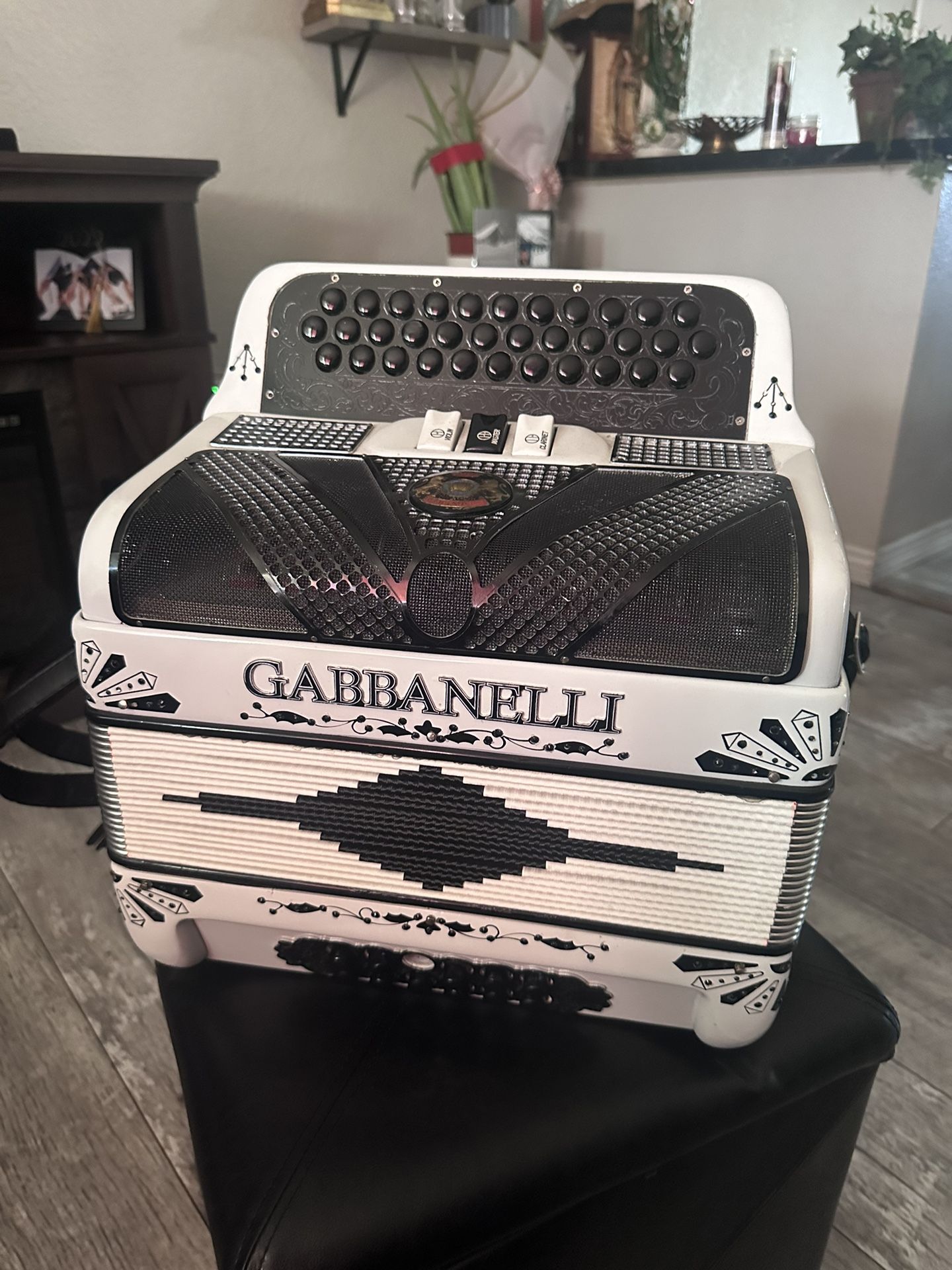 Gabbanelli Accordion