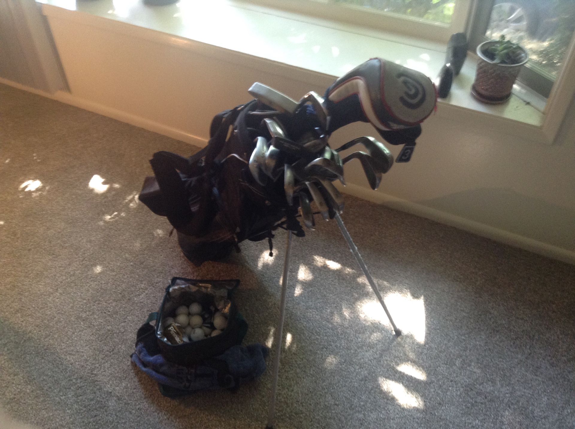 Complete golf set - 2 thru PW, L, S and 3 putters. With extra S and L. Bag has self stand and blackstrap plus several balls.
