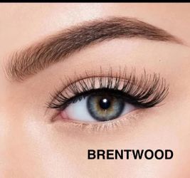 MORPHE  (BRENTWOOD) FAUX-CILS LASHES 