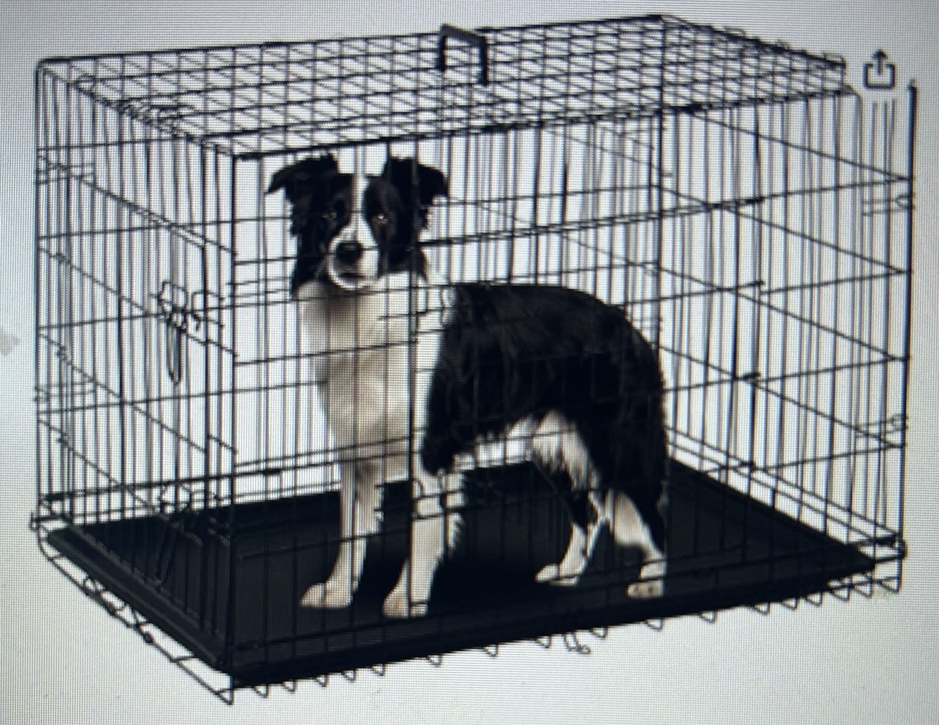 Large dog crate