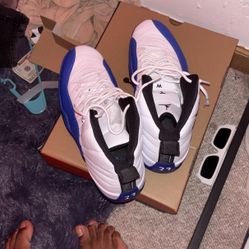 Blueberry 12s