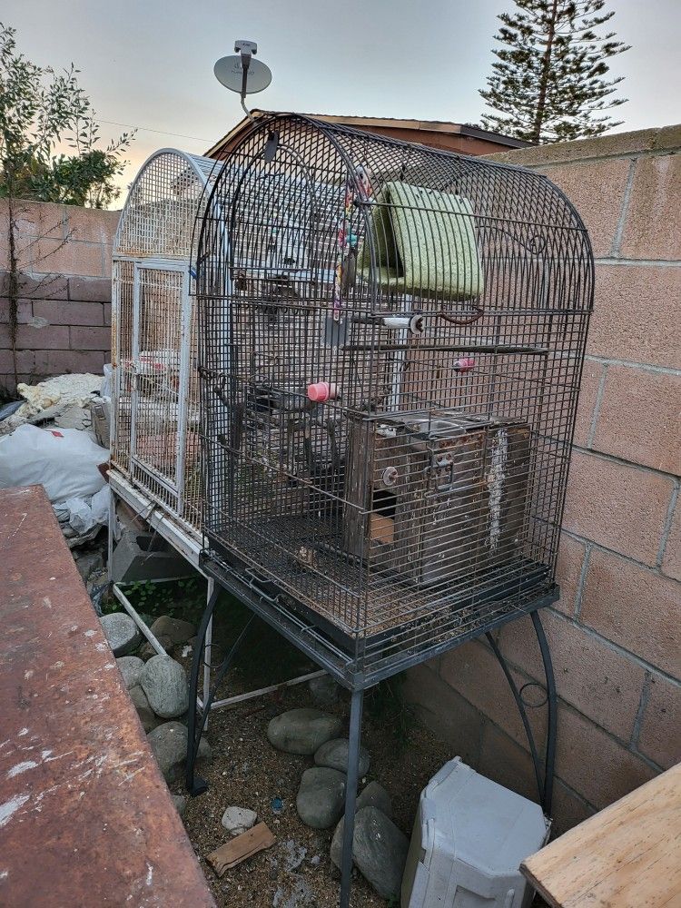 Bird Cage For Sale