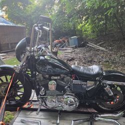 97 Sportster