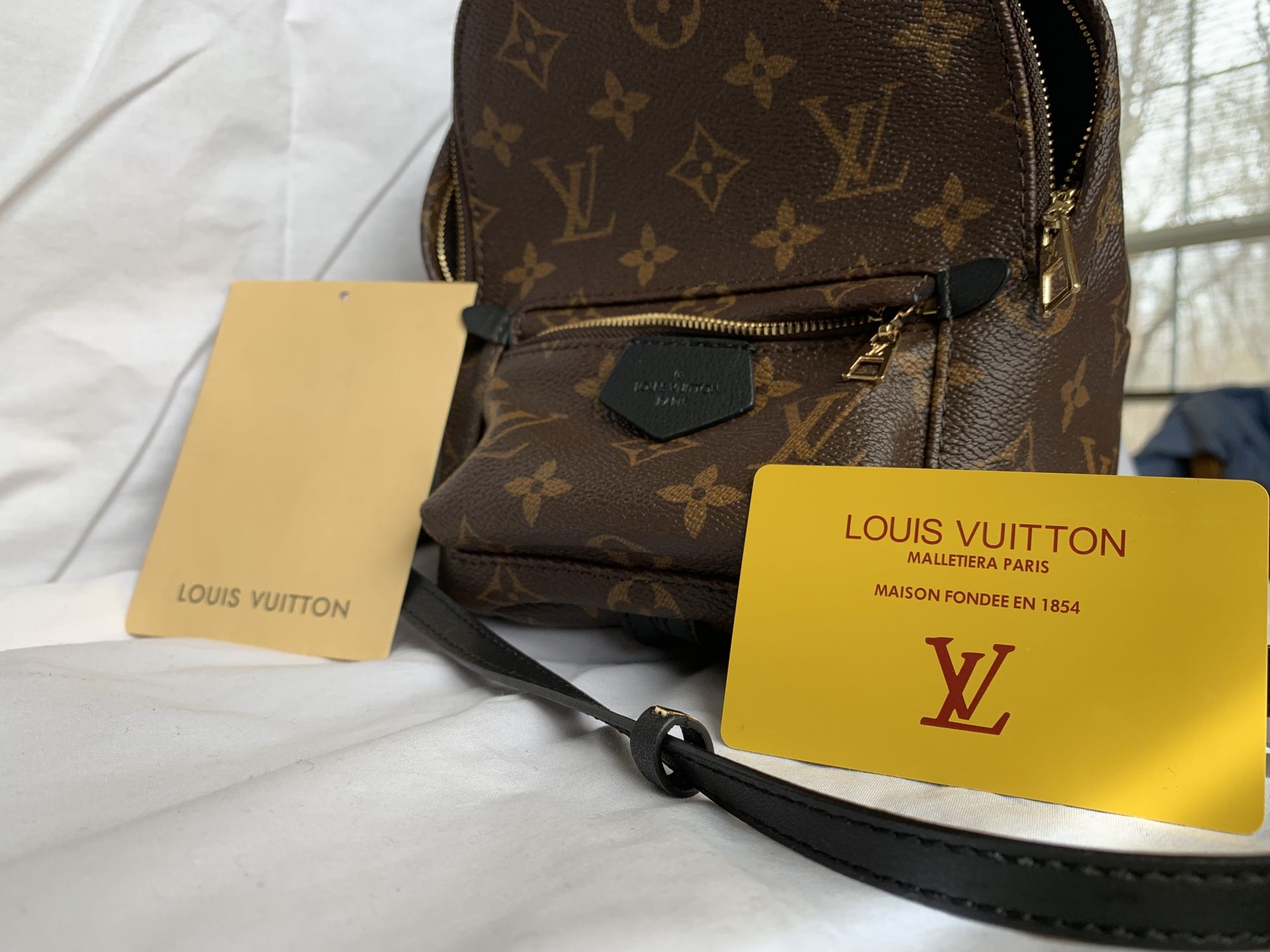 Louis Vuitton Palm Springs Mini Backpack Never Used.