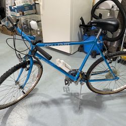 Vintage Mountain Bike Almost New Condition