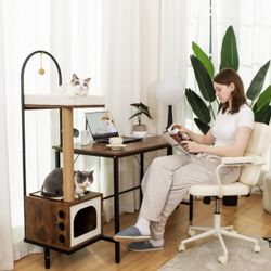 Nice Desk with Cat Tree