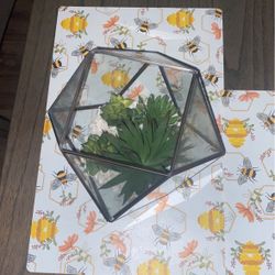 Fake Glass Terrarium 