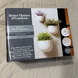 Wall Planters