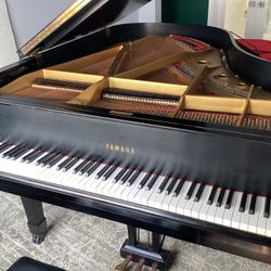 Yamaha C3 Grand Piano