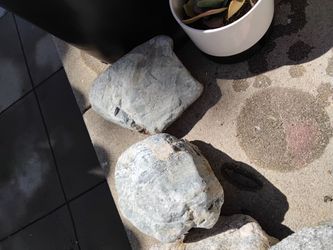 Landscape Rocks