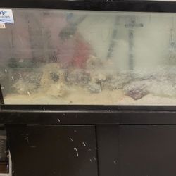 Fish Tank And Equipment 