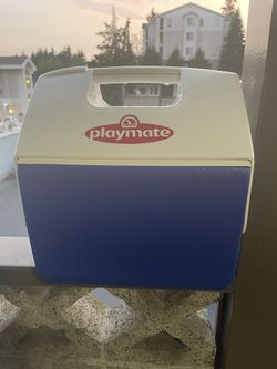 Lunch box/Cooler