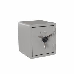 Sanctuary 1.7 cu. ft. Fire and Waterproof Home and Office Safe with Electronic Lock, Frost Gray