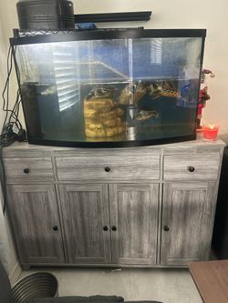 Grey Storage Cabinets