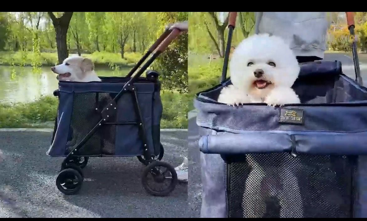 Dog stroller
