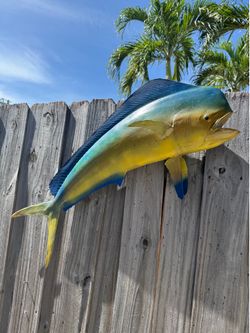 Dolphin Mount 3ft Length