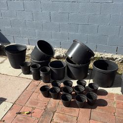 Plant Pots MAKE AN OFFER