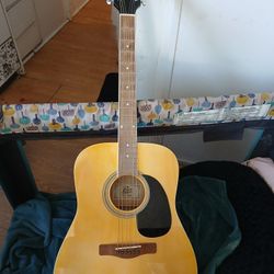 Rogue Acoustic Guitar 