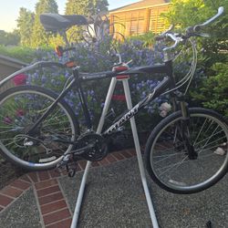 Giant Sedona Gravel/Commuter/Cruiser Large