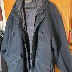 Real Nice Cat Like New