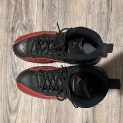 Jordan 12s Flu 