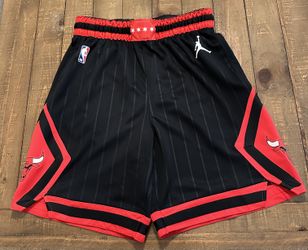 Nike Chicago Bulls Jordan Brand Statement Edition Mens Size M Swingman Shorts