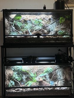 Bioactive Tanks